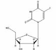 2'-Deoxy-5-Fluorouridine 